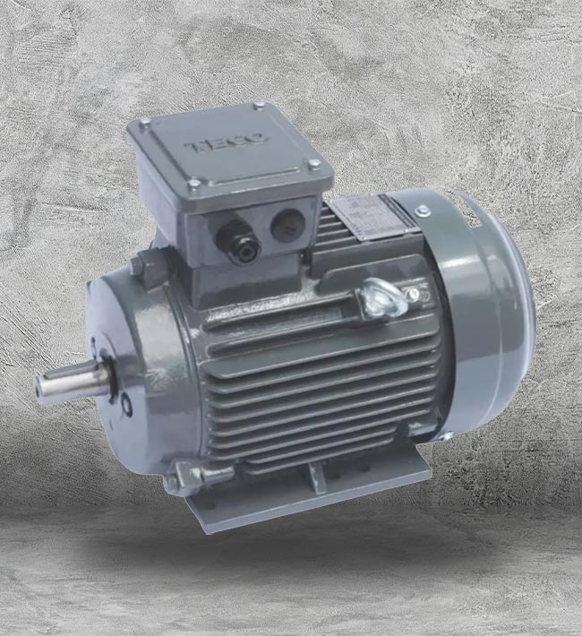 Teco AC Induction Motor