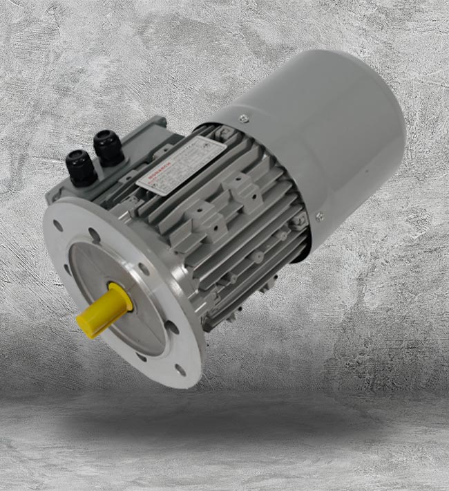 Asynchronous Motor in Houston