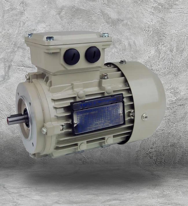 Teco Westinghouse Electric Motors in Houston