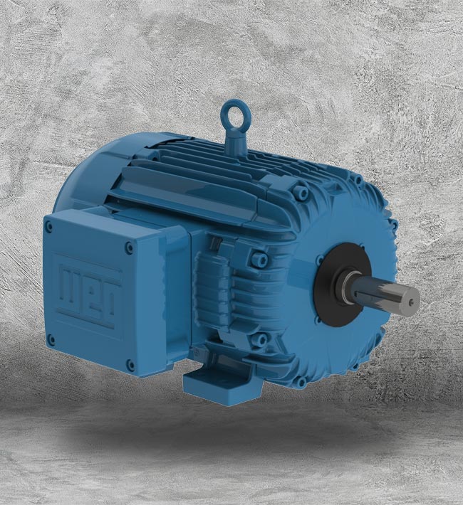 Industrial 1 HP Motor Replacement