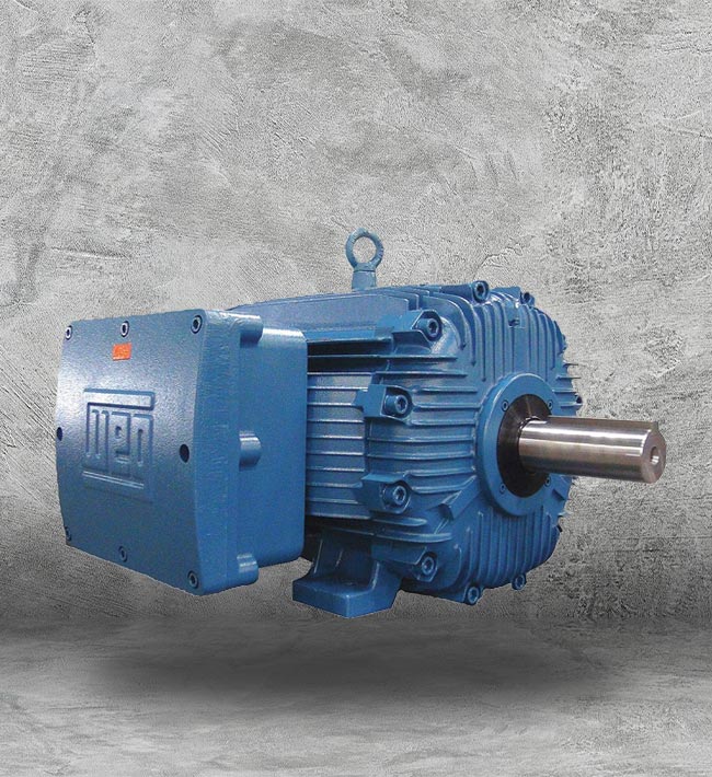10 HP Electric Motor Houston