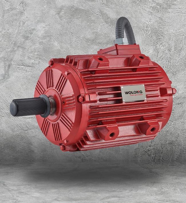 Electric Motor Supplier Houston