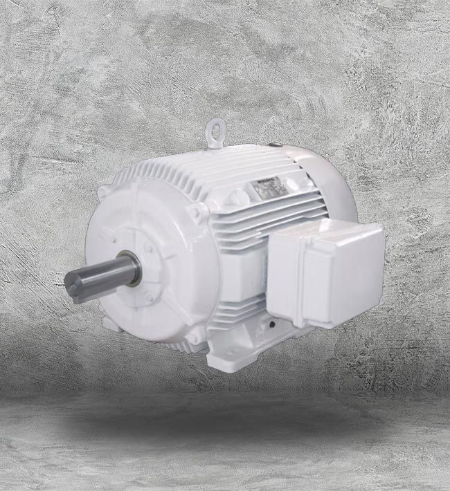 High Torque Electric Motor Near Me