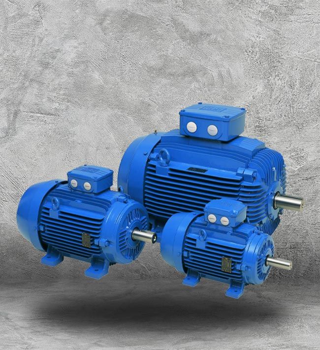 WEG Industrial Asynchronous Motor
