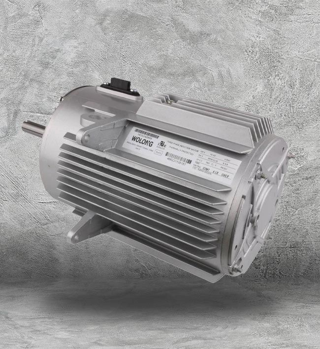 AC Induction Motor Supplier