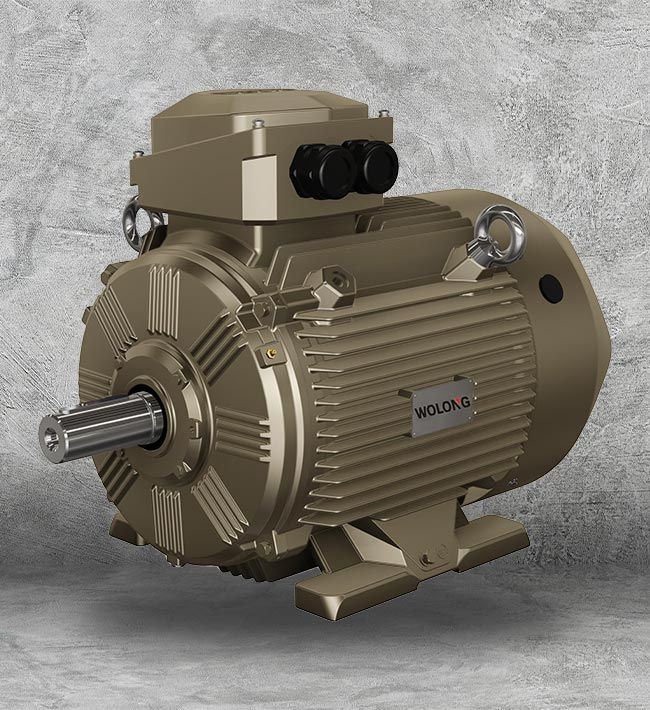 Electric Motor Supplier Near Me