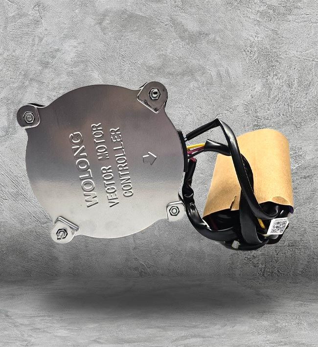 GE Wolong Permanent Split Capacitor