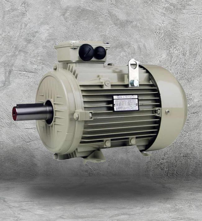 IEC Motors Houston